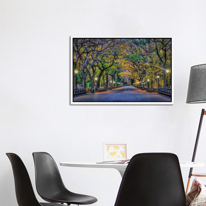 Central Park Night by David Gardiner - Print on Canvas, 66.04 cm H x 45.72 cm W, White Framed Canvas