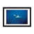 Black Framed Fine Art Paper is unavailable