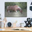 «Assateague Horse» par Lori Deiter-101616472