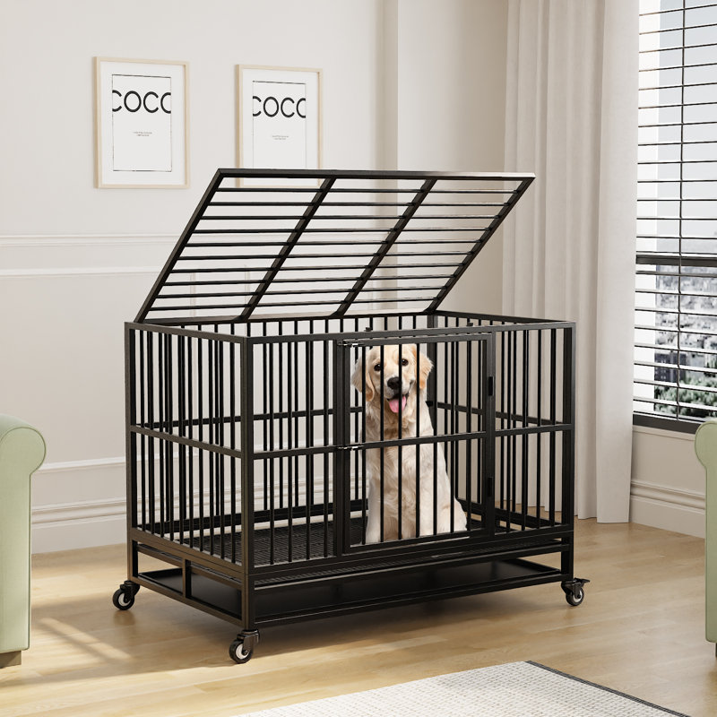 Cage pour chien 45,7 W avec plateaux coulissants, Noir, noir, noir, noir