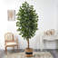Ficus artificiel 96 po en pot