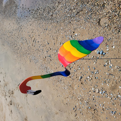 Galeton Weather Resistant PVC Birds Garden Stake