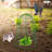 YaoTown Plant Protector and Cover Garden Wire Cloche Accessory-97765440