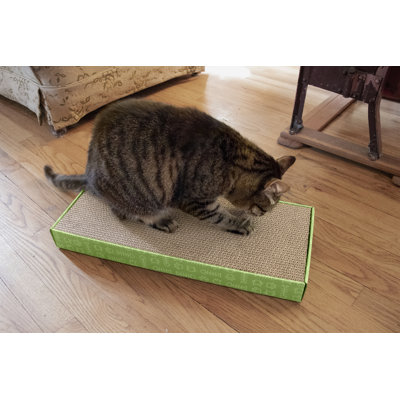 Scratching Post