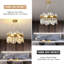 Canora Grey Unique/Statement Chandelier-317477384-322464707-322464704