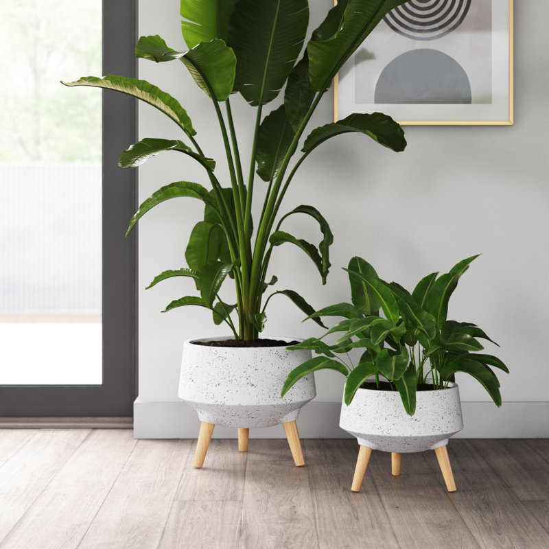 Annora Pot Planter, White