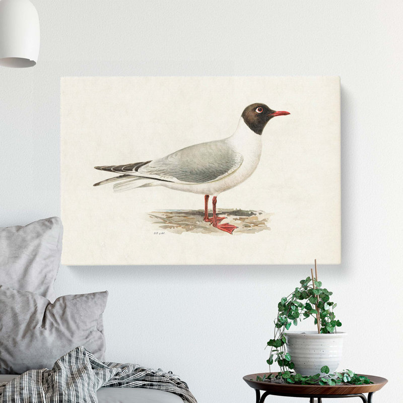 Male Black-Headed Gull by Von Wright - Wrapped Canvas, 40cm H x 60cm W x 3cm D