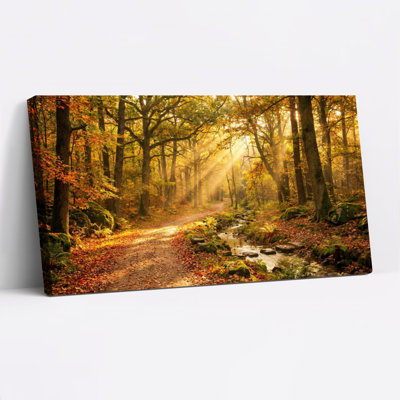 «Autumn Forest Path with Sunlight and Stream», reproduction d'art sur toile tendue sur toile, ensemble de 1