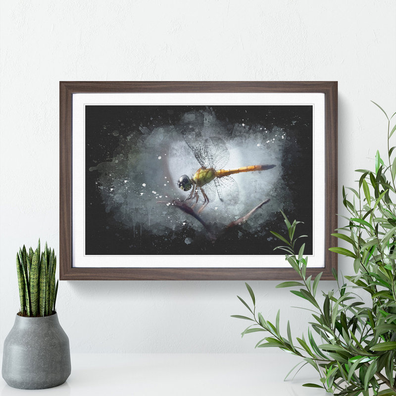Dragonfly Vol.5 - Framed Print, 36cm H x 48cm W x 2cm D, Walnut