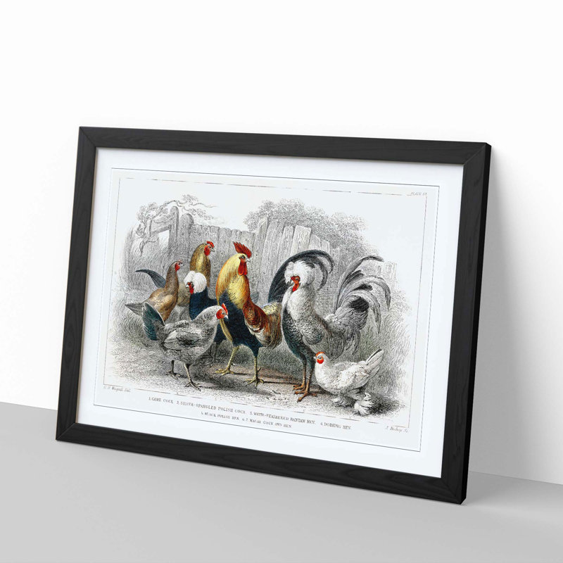 Cocks & Hens by Oliver Goldsmith - Picture Frame Painting, Black Framed, 48cm H x 65cm W x 2cm D