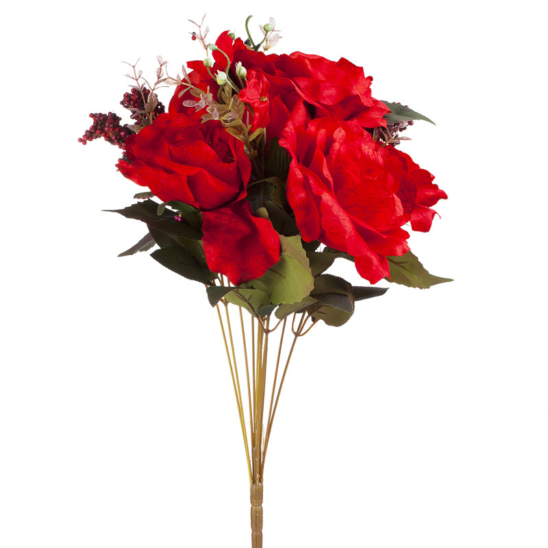 Rosier, Rouge