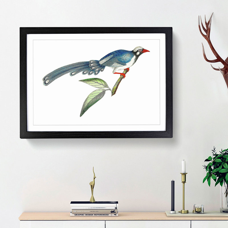 Chinese Cuckoo by George Shaw - Picture Frame Painting Print, 36cm H x 48cm W x 2cm D, Black Framed