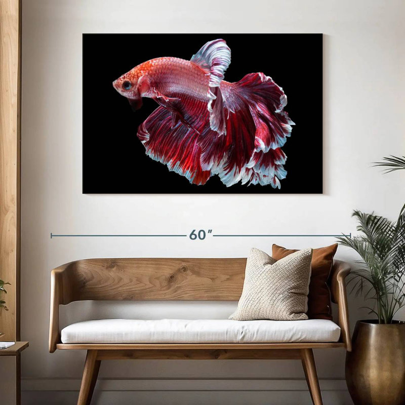 Red And White Betta Fish, 32" H x 48" W