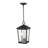 Bourke 2 - Light Outdoor Hanging Lantern-1683147482