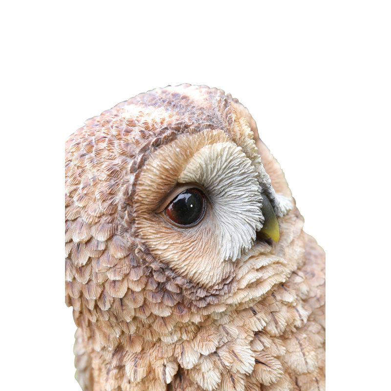 Brown Polyresin Owl on Stump Garden Statue