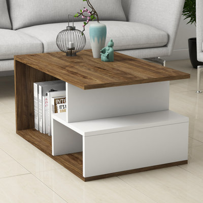 Dhylan Floor Shelf Coffee Table with Storage