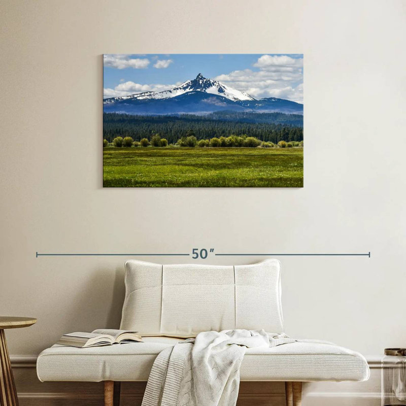 Alvord Butte Ranch Field, 24" H x 36" W