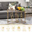 Adley Set of 2 Nesting Coffee Table, Side Tables with Glass Top, Gold Tone