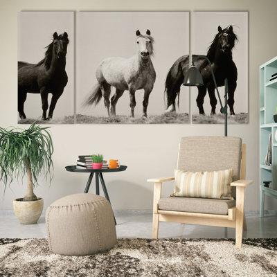 " Wild Stallions " 3 - Pieces