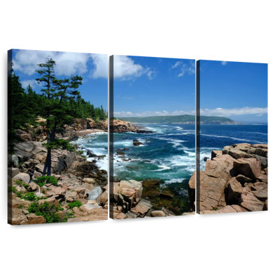 Gillard Rocky Coastal Acadia National Park