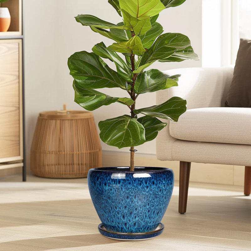 Ceramic Modern Glaze Succulent Planter Pot, 5.8" H x 8" W x 8" D