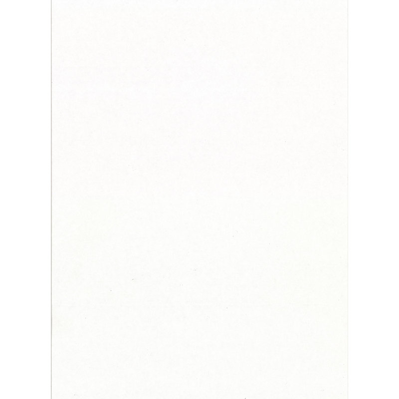 Rouleau de papier peint L 33 pi x l 20,5 po