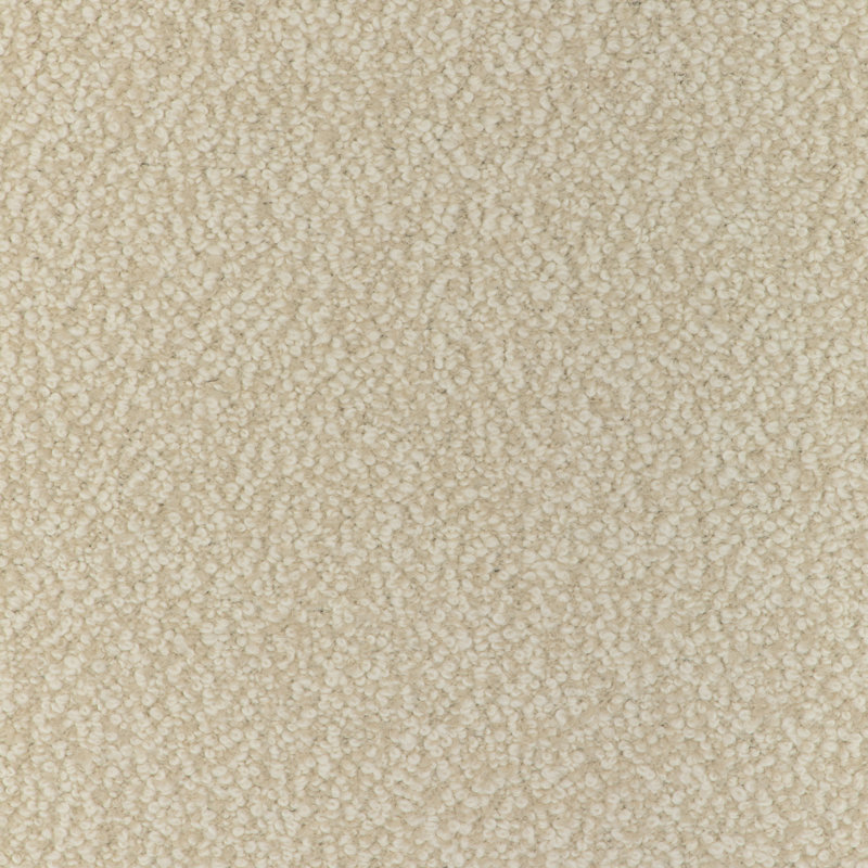 Alpaca Boucle, Oyster