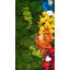 Décoration murale-87461757