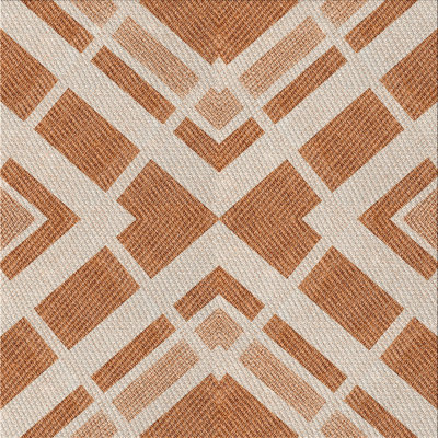 Indoor Rug
