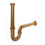 Brass P Trap-66420488