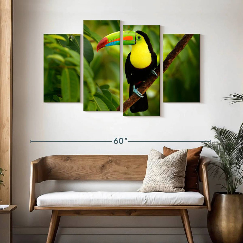 Toucan ronce sur un arbre