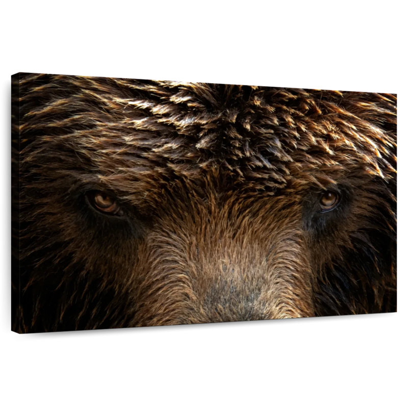 Yeux de grizzly, H 30 po x l 45 po