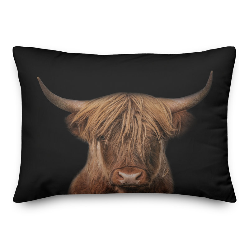 Moody Highland Cow Rectangular Pillow Cover & Insert