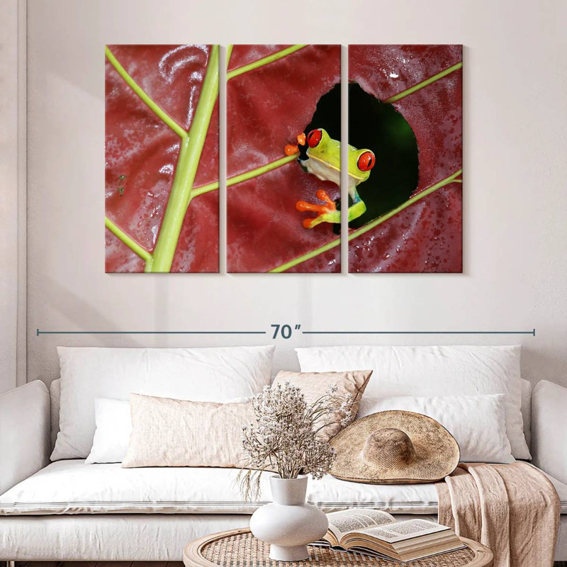 Brampt Wild Red Eyed Tree Frog, 32" H x 50" W