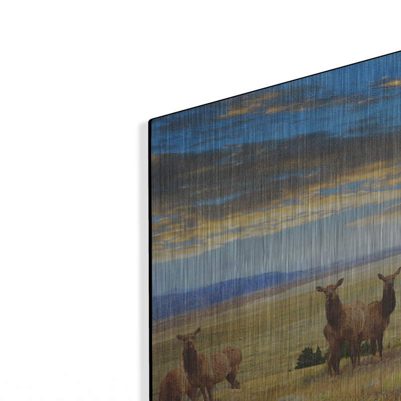 «Cairn Above Elk Refuge» par Chris Vest, H 24 po x l 36 po