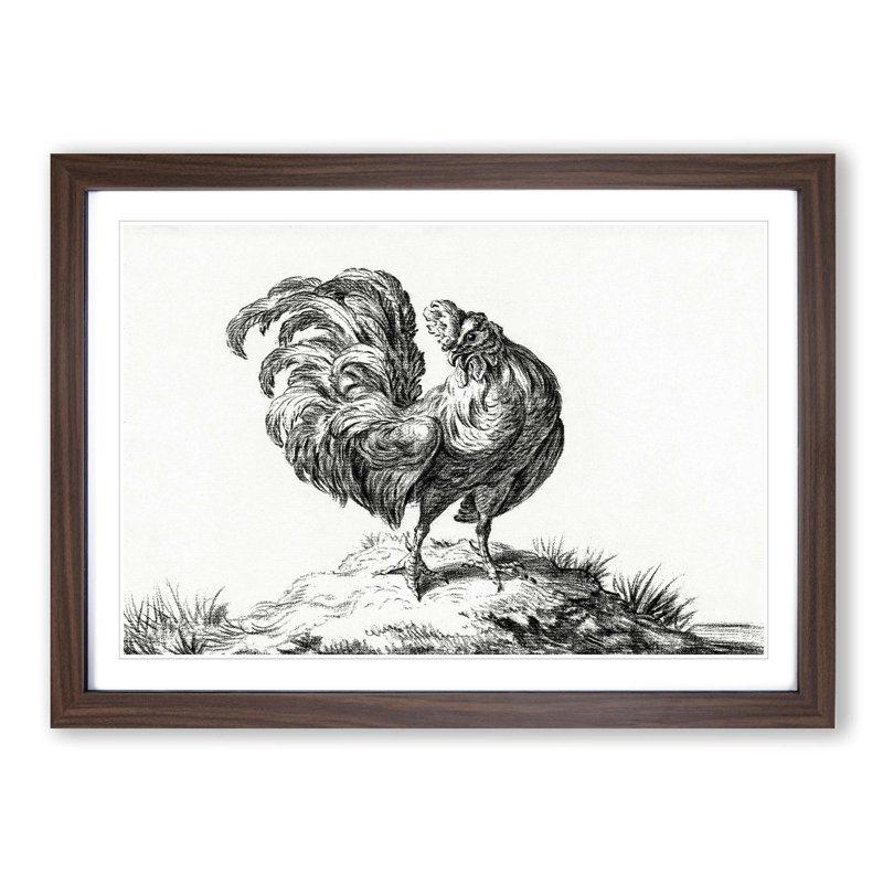 Sketch of a Rooster by Jean Bernard - Picture Frame Drawing Print, 48cm H x 65cm W x 2cm D, Walnut Framed