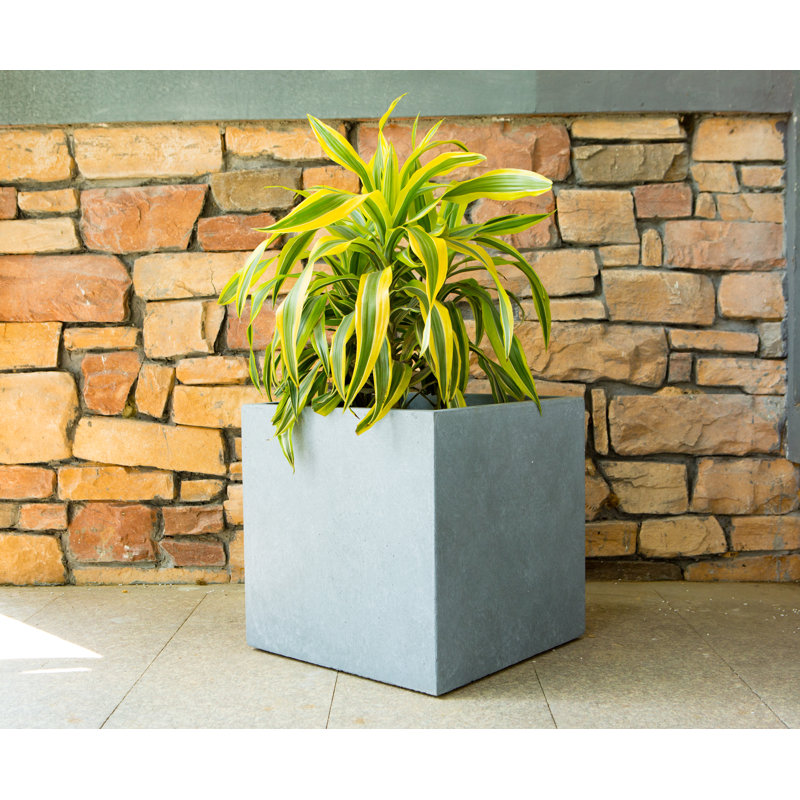 Pot à fleurs carré en béton 16 po avec trous de drainage pour l'intérieur et l'extérieur, H 16 po x l 16 po x P 16 po, Ciment