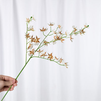 Audet Cherry Blossom Stems
