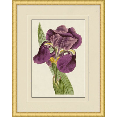 Fresh Flowers 11 Print