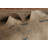Traditional Area Rug 10x13