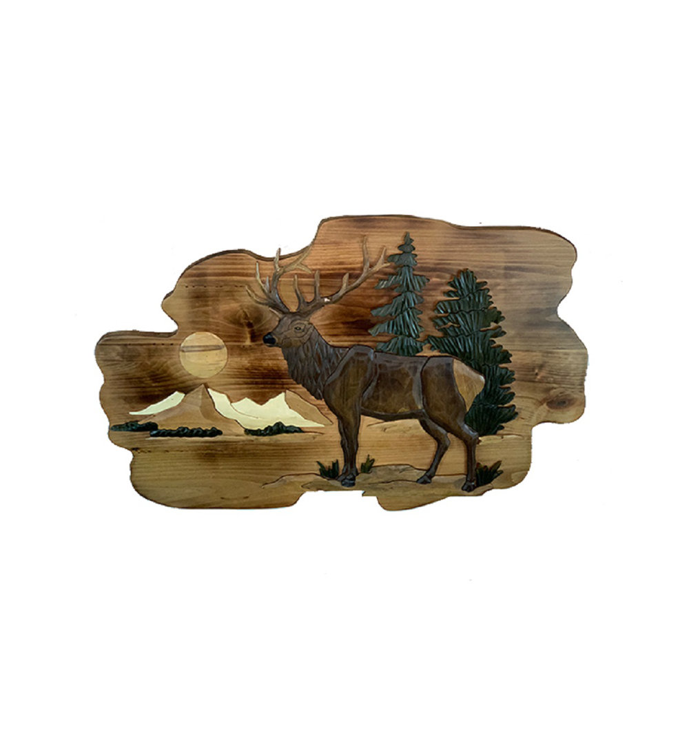 Lenworth Handmade Rustic Landscape & Nature Wall Decor on Wood Millwood Pines