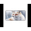 Polyester Desk Pad-1572871845