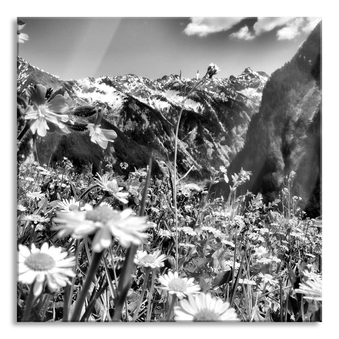 Glasbild Wunderschöne Blumen Alpenwiese