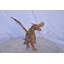 Statue Ismael en bronze peinte en bronze, taille: L 15 po x l 14 po x H 12 po