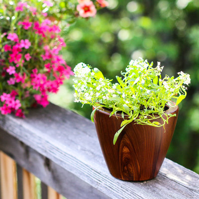 Dark Wood Plastic Self-Watering Planter  2, 10 In.  - Absorbent, Protected, , With Drainage And Water Level Monitoring Feature Pot , Include Indicator