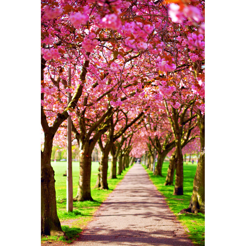 Lampe Blossoming Plum Trees - Wrapped Canvas Print, 91cm H x 61cm W x 3.8cm D