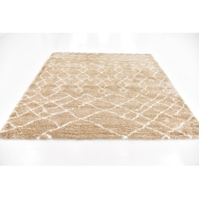 Southwestern Shag Area Rug