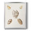 Toile encadrée Pastel Knorr Shells VI - prête à accrocher-141858855-141858852