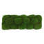 Moss Preserved in Oblong Planter-2127157689