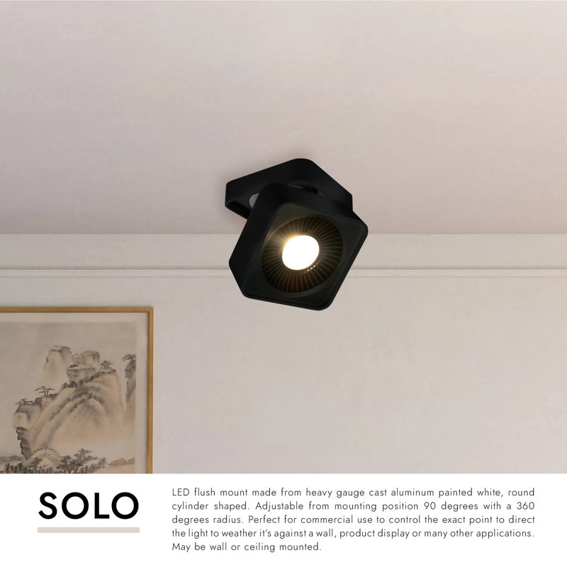 Solo 1 - Light LED Flush Mount, White 